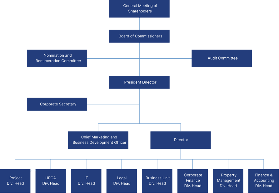 Our Organization Structure